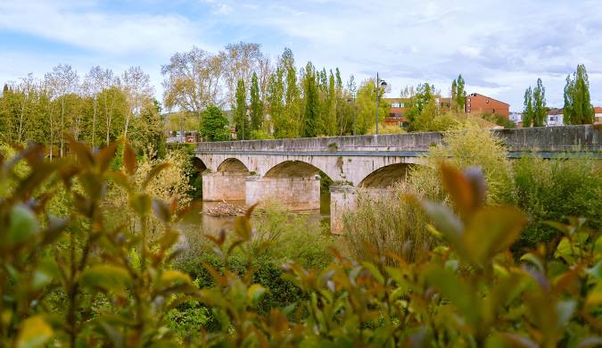 10 lugares imprescindibles que ver en Tudela del Duero